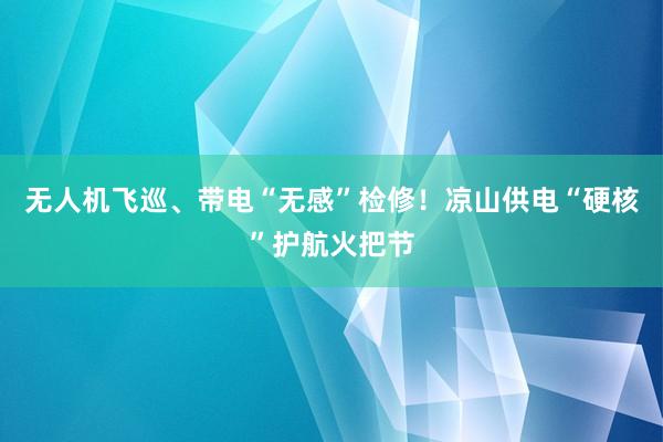无人机飞巡、带电“无感”检修！凉山供电“硬核”护航火把节