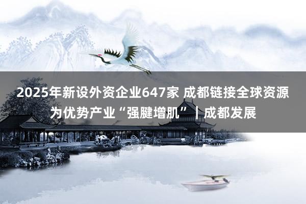 2025年新设外资企业647家 成都链接全球资源为优势产业“强腱增肌”｜成都发展