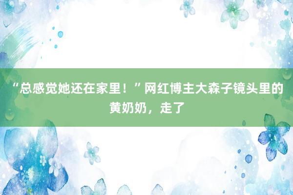 “总感觉她还在家里！”网红博主大森子镜头里的黄奶奶，走了