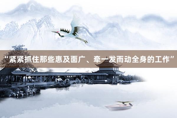 “紧紧抓住那些惠及面广、牵一发而动全身的工作”