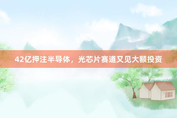 42亿押注半导体，光芯片赛道又见大额投资