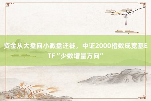 资金从大盘向小微盘迁徙，中证2000指数成宽基ETF“少数增量方向”