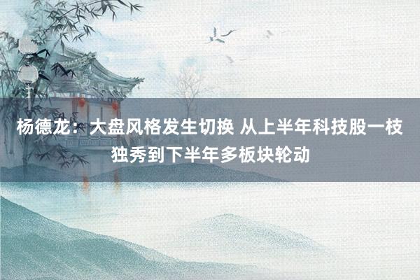 杨德龙：大盘风格发生切换 从上半年科技股一枝独秀到下半年多板块轮动