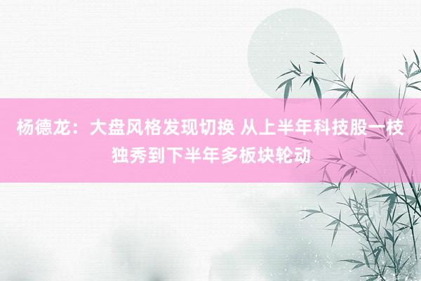 杨德龙：大盘风格发现切换 从上半年科技股一枝独秀到下半年多板块轮动