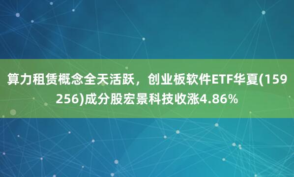 算力租赁概念全天活跃，创业板软件ETF华夏(159256)成分股宏景科技收涨4.86%