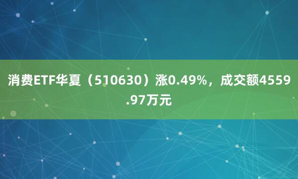 消费ETF华夏（510630）涨0.49%，成交额4559.97万元