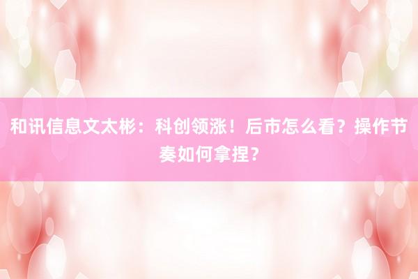 和讯信息文太彬：科创领涨！后市怎么看？操作节奏如何拿捏？