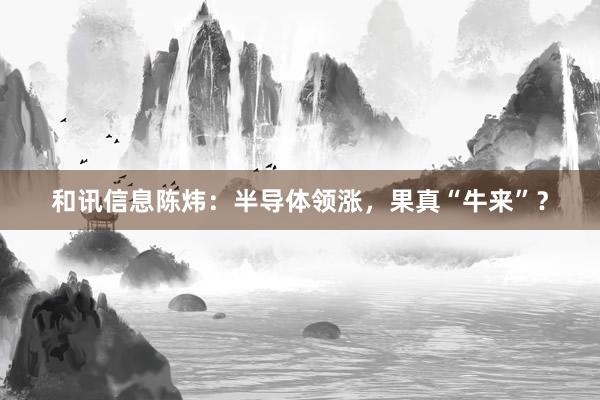 和讯信息陈炜：半导体领涨，果真“牛来”？