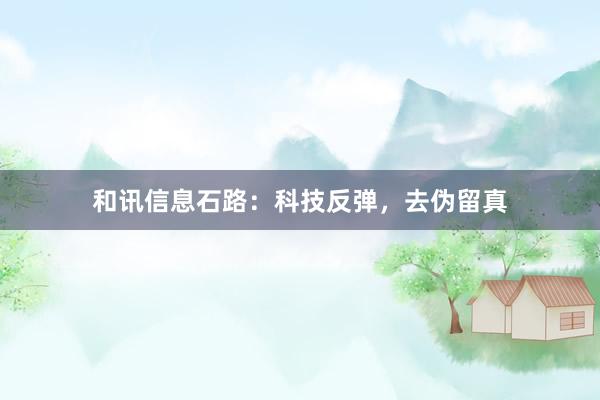 和讯信息石路：科技反弹，去伪留真