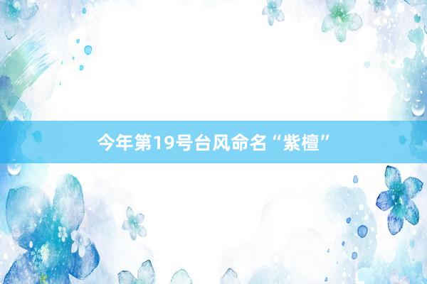 今年第19号台风命名“紫檀”