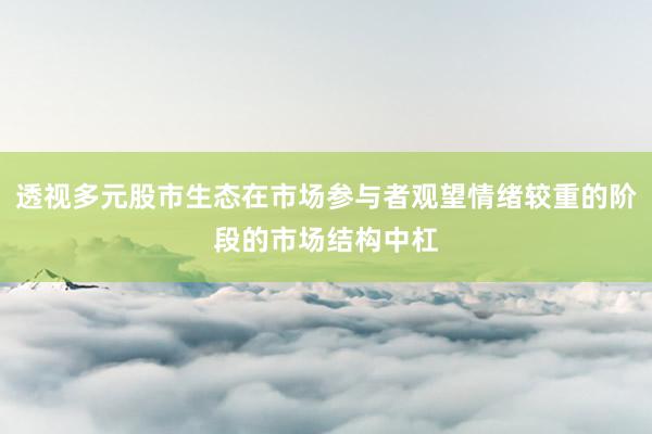 透视多元股市生态在市场参与者观望情绪较重的阶段的市场结构中杠