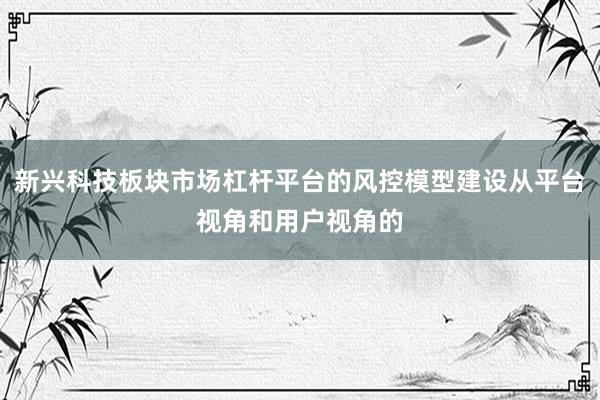 新兴科技板块市场杠杆平台的风控模型建设从平台视角和用户视角的