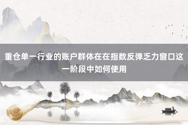 重仓单一行业的账户群体在在指数反弹乏力窗口这一阶段中如何使用