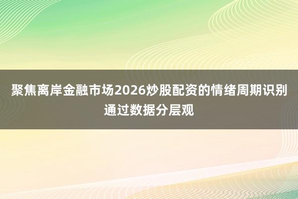 聚焦离岸金融市场2026炒股配资的情绪周期识别通过数据分层观