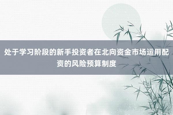 处于学习阶段的新手投资者在北向资金市场运用配资的风险预算制度
