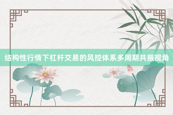 结构性行情下杠杆交易的风控体系多周期共振视角