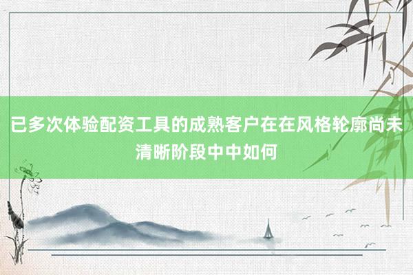 已多次体验配资工具的成熟客户在在风格轮廓尚未清晰阶段中中如何