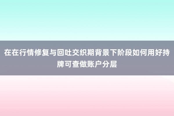 在在行情修复与回吐交织期背景下阶段如何用好持牌可查做账户分层