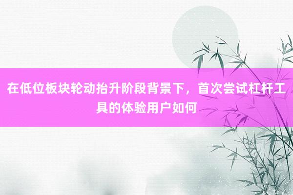 在低位板块轮动抬升阶段背景下，首次尝试杠杆工具的体验用户如何