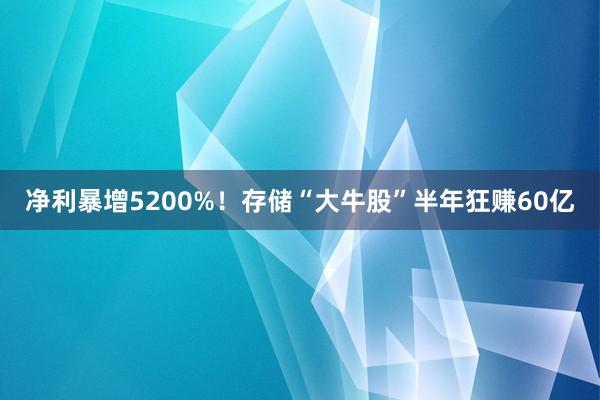 净利暴增5200%！存储“大牛股”半年狂赚60亿