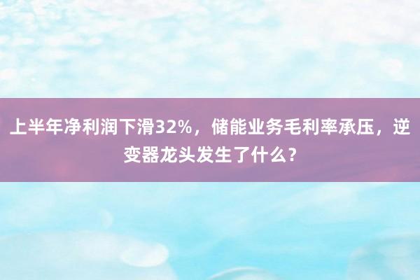 上半年净利润下滑32%，储能业务毛利率承压，逆变器龙头发生了什么？