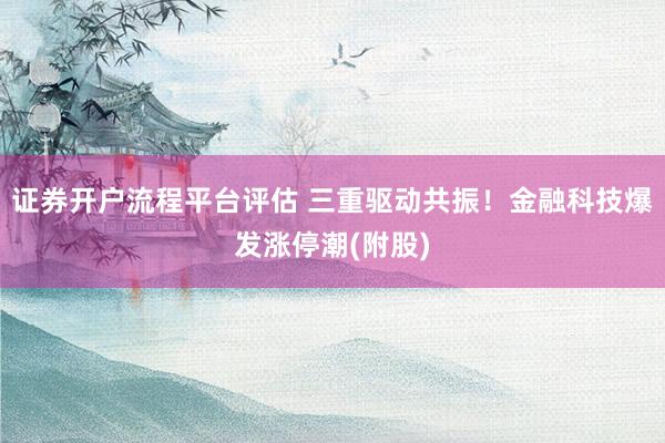证券开户流程平台评估 三重驱动共振！金融科技爆发涨停潮(附股)