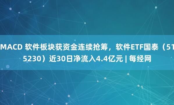 MACD 软件板块获资金连续抢筹，软件ETF国泰（515230）近30日净流入4.4亿元 | 每经网