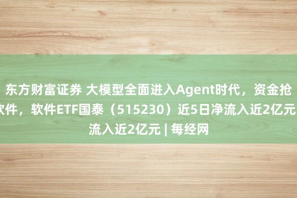 东方财富证券 大模型全面进入Agent时代，资金抢筹布局软件，软件ETF国泰（515230）近5日净流入近2亿元 | 每经网