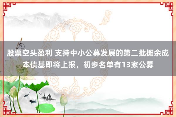 股票空头盈利 支持中小公募发展的第二批摊余成本债基即将上报，初步名单有13家公募