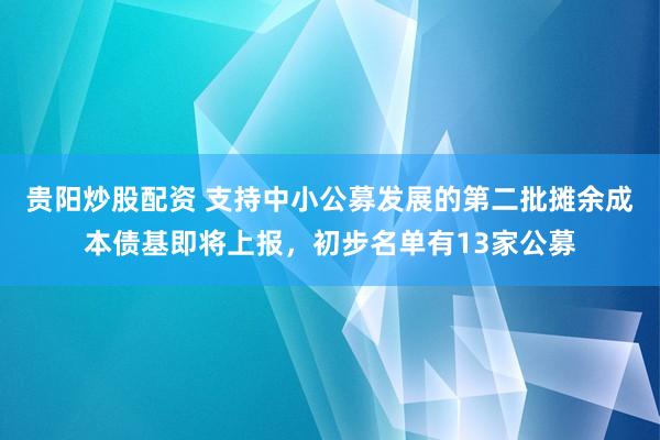 贵阳炒股配资 支持中小公募发展的第二批摊余成本债基即将上报，初步名单有13家公募