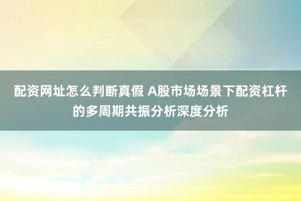 配资网址怎么判断真假 A股市场场景下配资杠杆的多周期共振分析深度分析