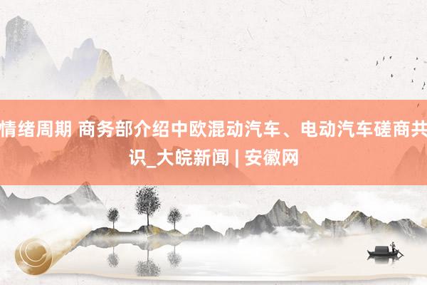 情绪周期 商务部介绍中欧混动汽车、电动汽车磋商共识_大皖新闻 | 安徽网