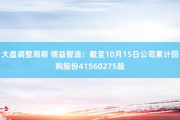 大盘调整周期 领益智造：截至10月15日公司累计回购股份41560275股